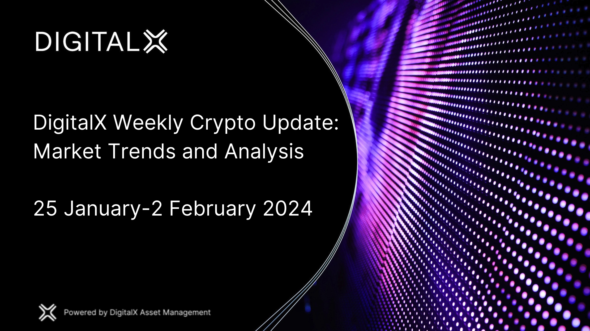 DigitalX Weekly Crypto Update: Market Trends and Analysis - DigitalX